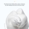 Foam Soap Dispenser